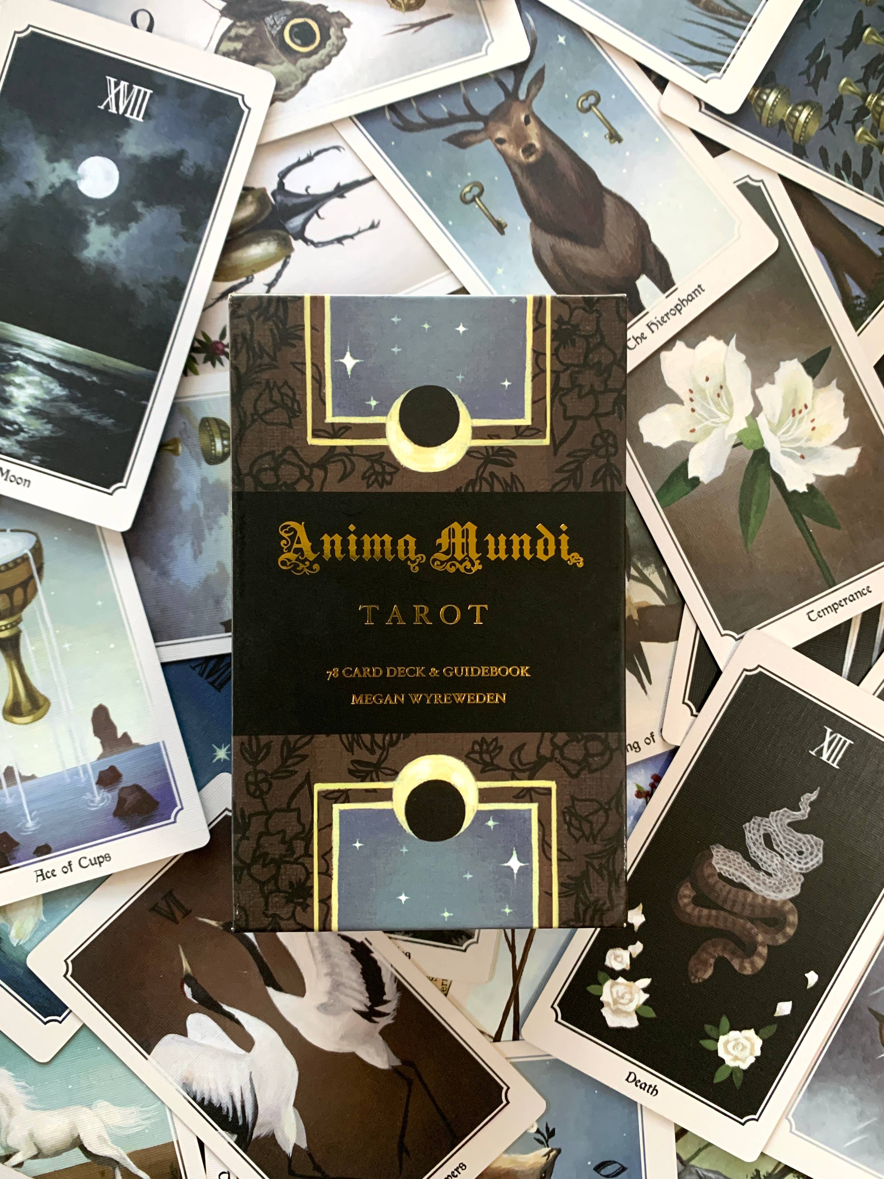 Anima Mundi Tarot - Image 2