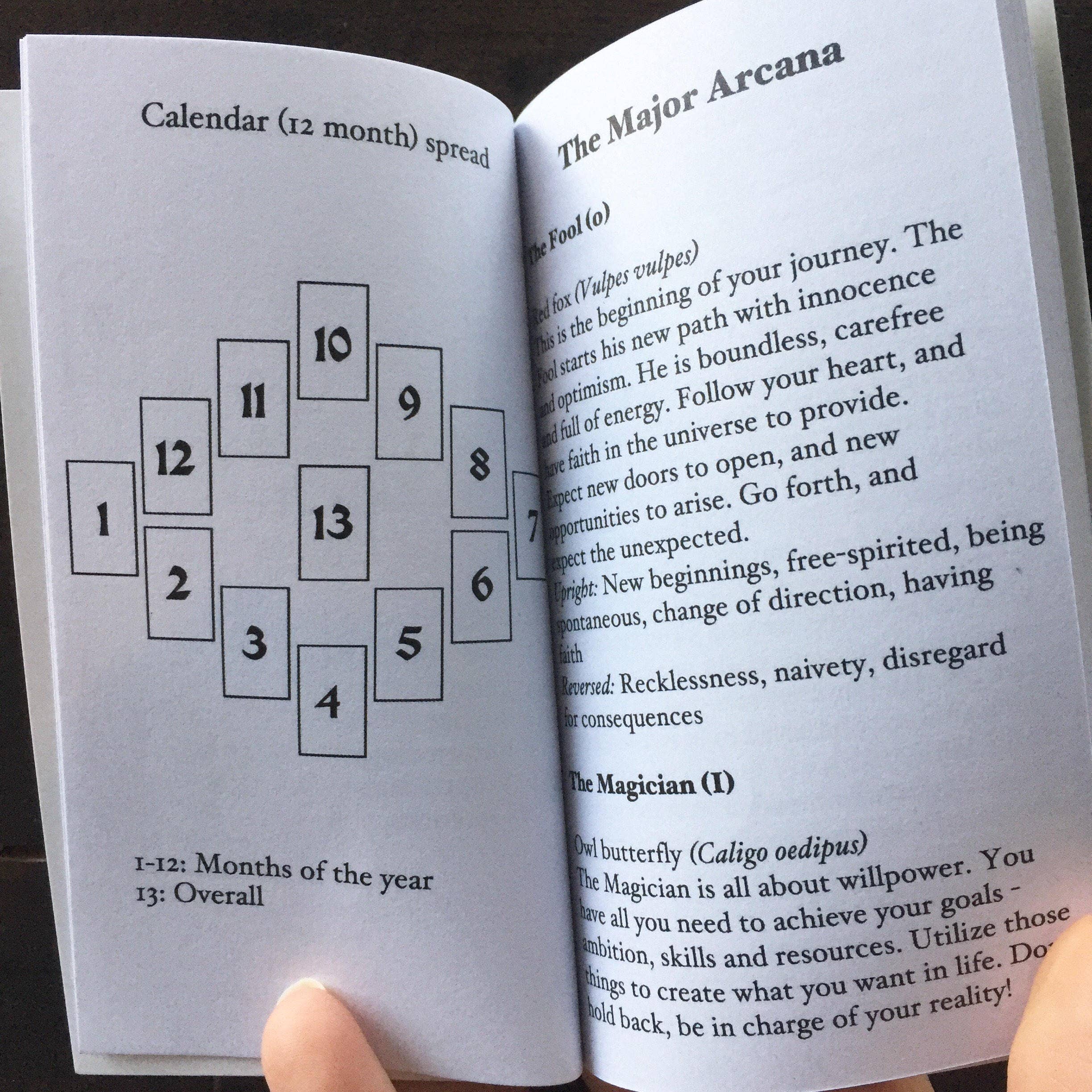 Anima Mundi Tarot - Image 4