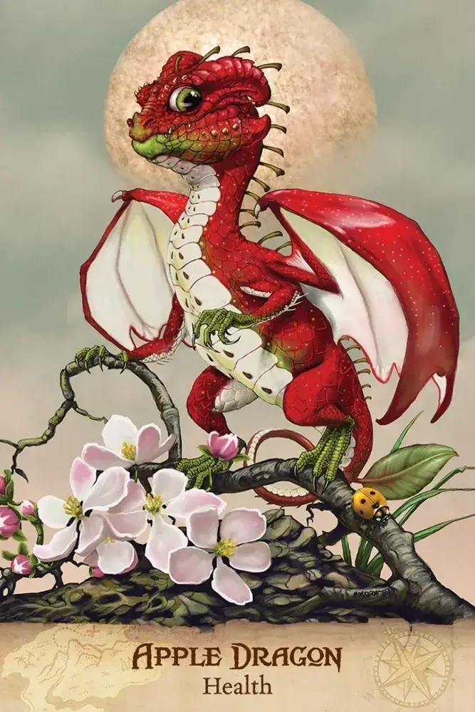 Field Guide To Garden Dragons - Image 3