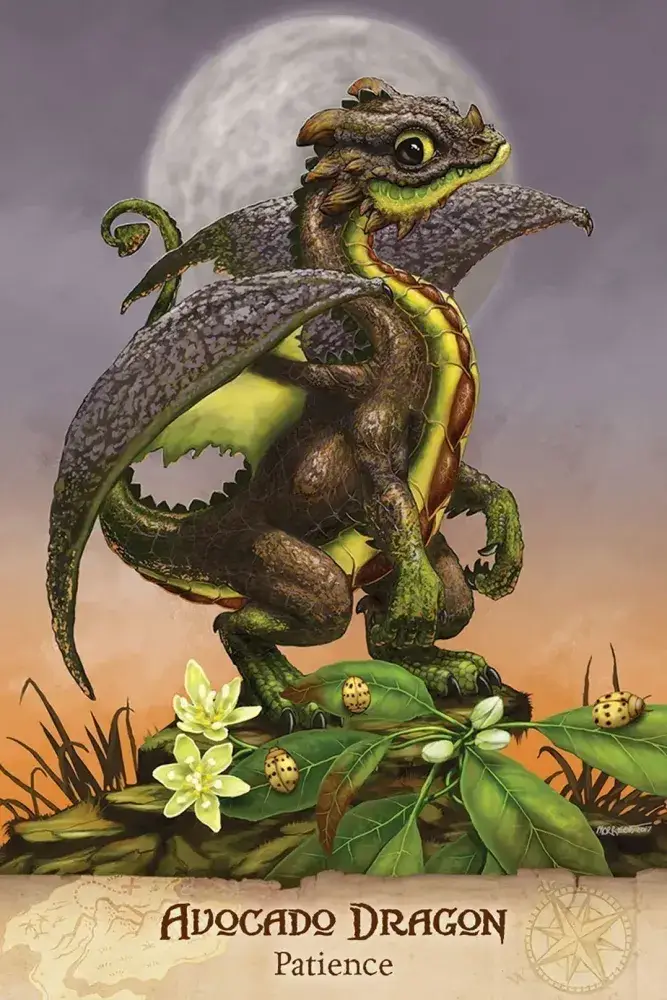 Field Guide To Garden Dragons - Image 4