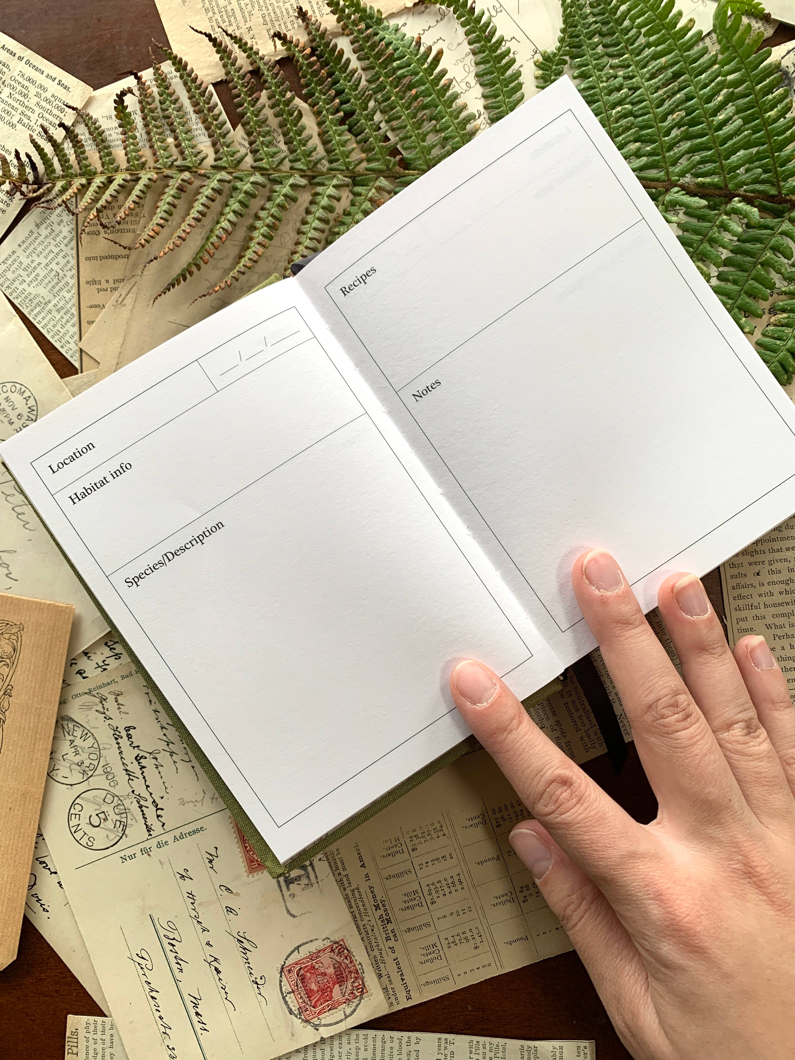 Forage: A Field Journal - Image 3