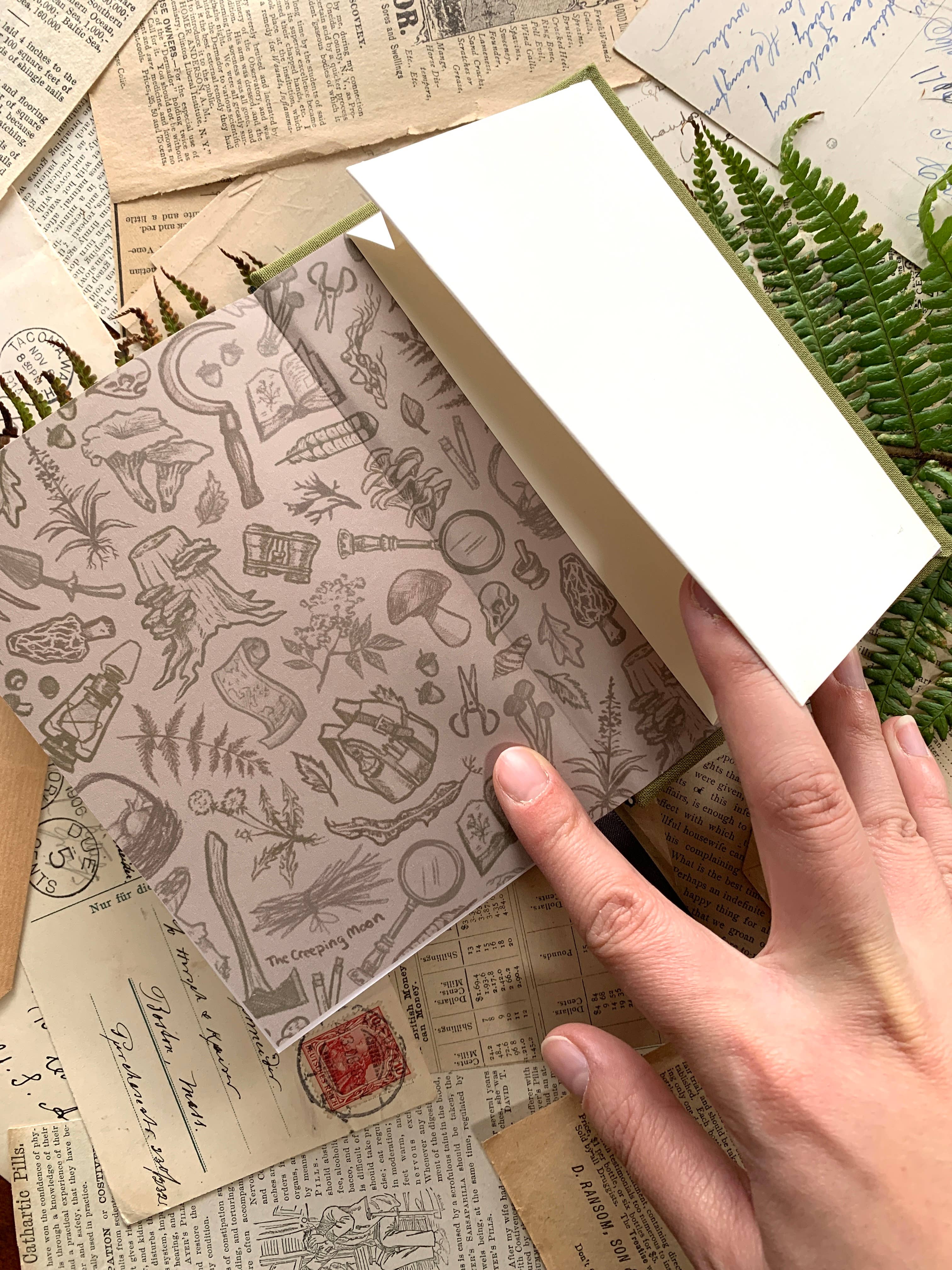 Forage: A Field Journal - Image 4